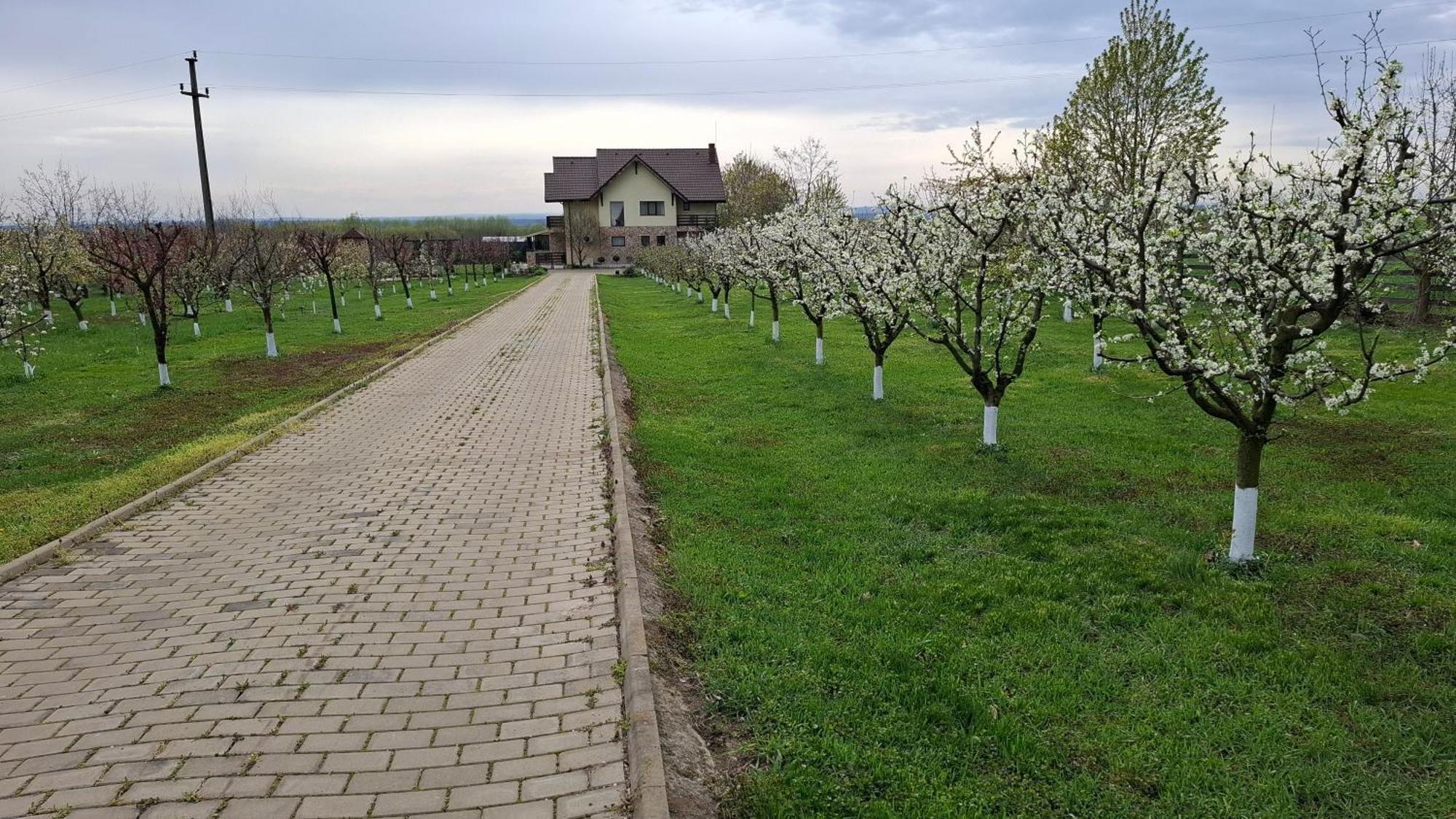 Dor De Casa Otel Doljesti Dış mekan fotoğraf
