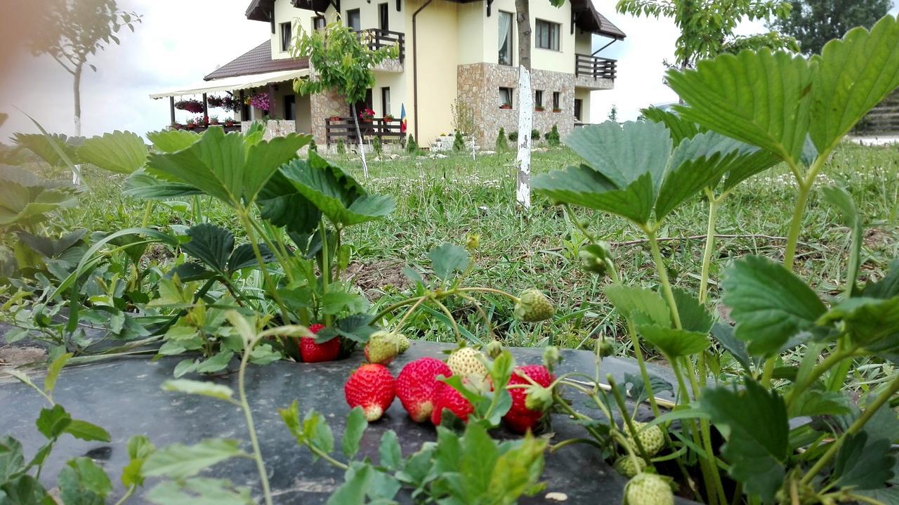 Dor De Casa Otel Doljesti Dış mekan fotoğraf